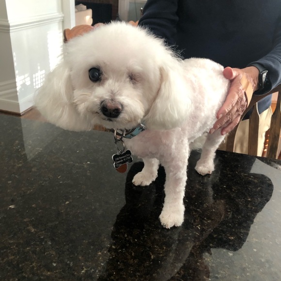 TRADE ITEMS!!! A FEW TRADE ITEMS and grandkids and pets. - Picture 8 of 16